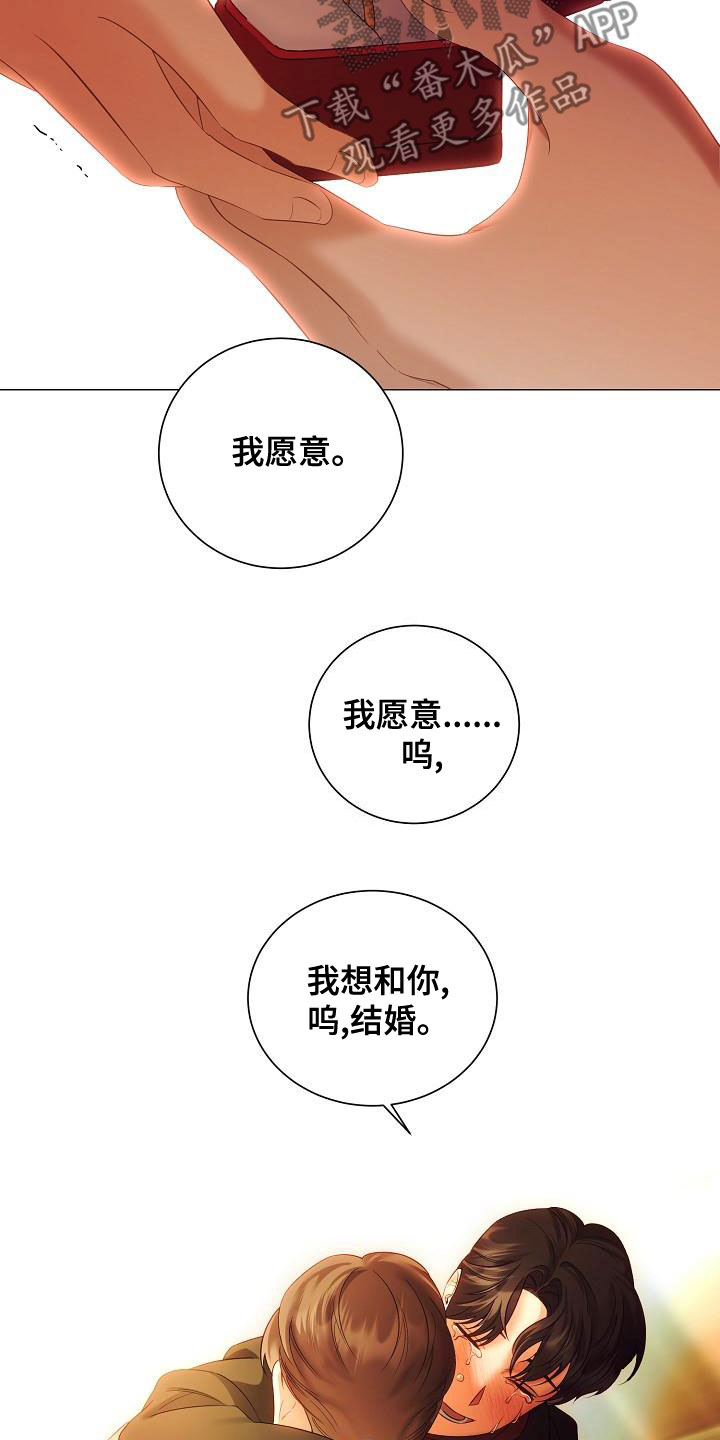 《完美契合》漫画最新章节第80章：求婚免费下拉式在线观看章节第【4】张图片