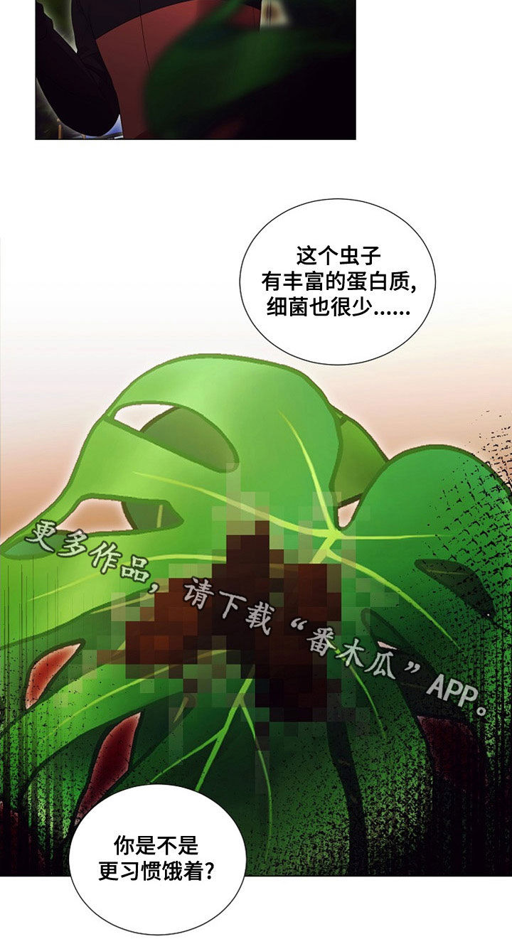 《完美契合》漫画最新章节第85章：虫子免费下拉式在线观看章节第【1】张图片