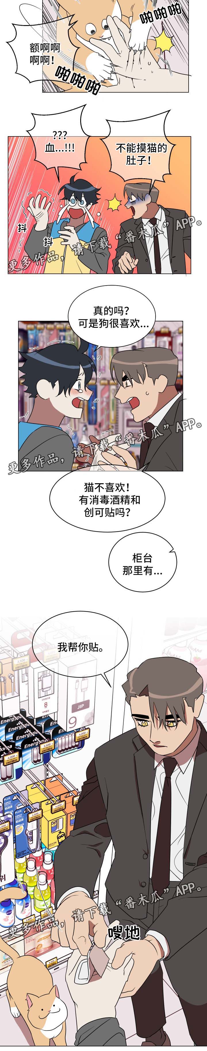 《年下策略》漫画最新章节第30章：喂猫免费下拉式在线观看章节第【1】张图片