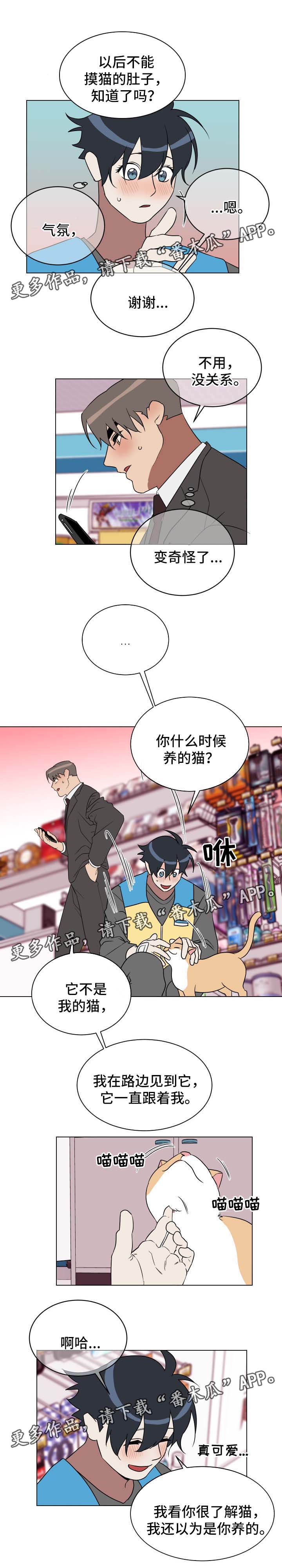 《年下策略》漫画最新章节第31章：有意思免费下拉式在线观看章节第【7】张图片