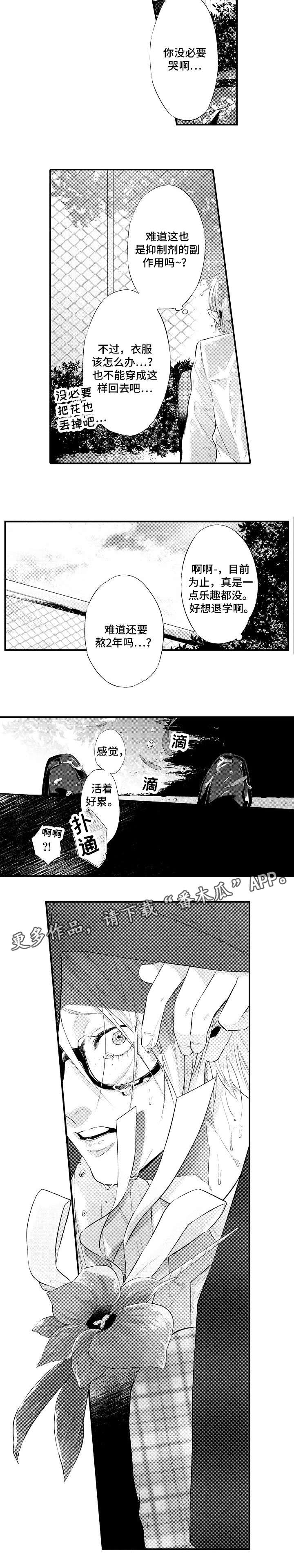 《花香信息素》漫画最新章节第3章：烦人免费下拉式在线观看章节第【3】张图片