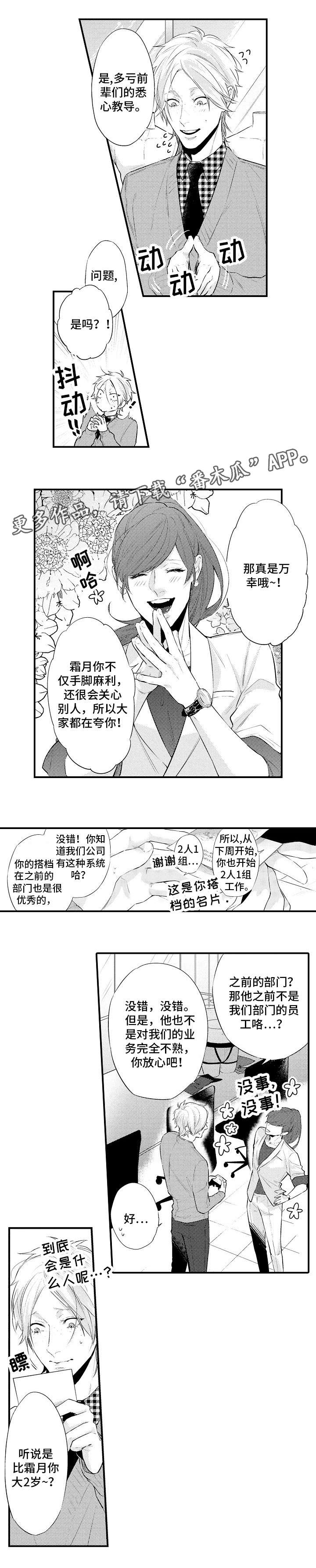 《花香信息素》漫画最新章节第4章：搭档免费下拉式在线观看章节第【4】张图片