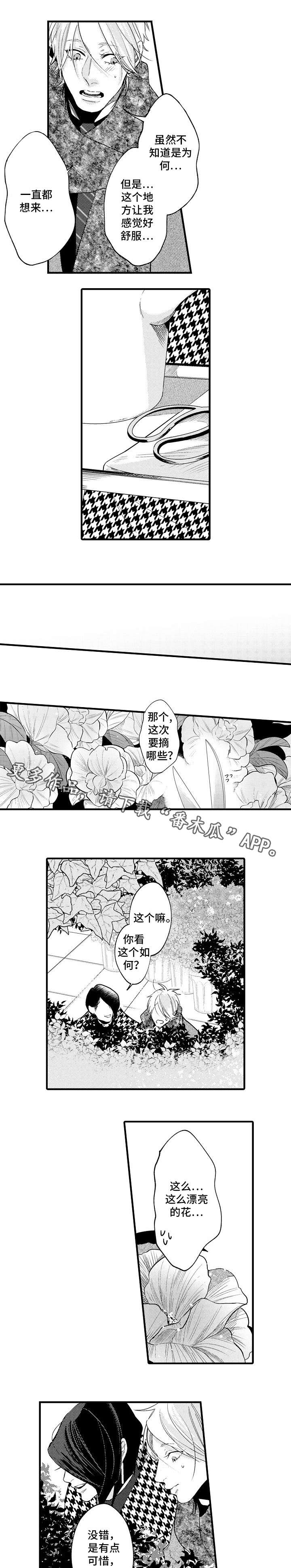 《花香信息素》漫画最新章节第28章：开心的原因免费下拉式在线观看章节第【4】张图片