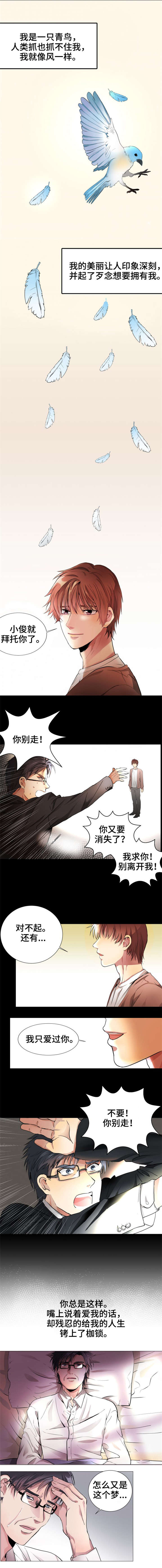 《纯爱传承》漫画最新章节第1章：青鸟免费下拉式在线观看章节第【5】张图片