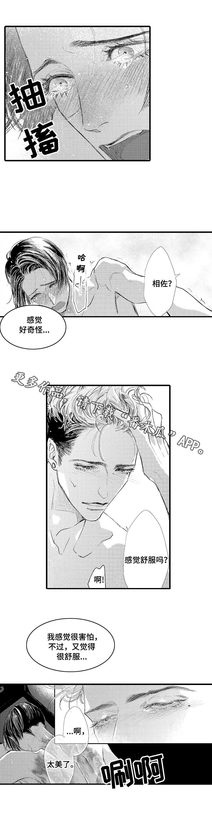 《完美的作品》漫画最新章节第13章：捕猎者免费下拉式在线观看章节第【4】张图片