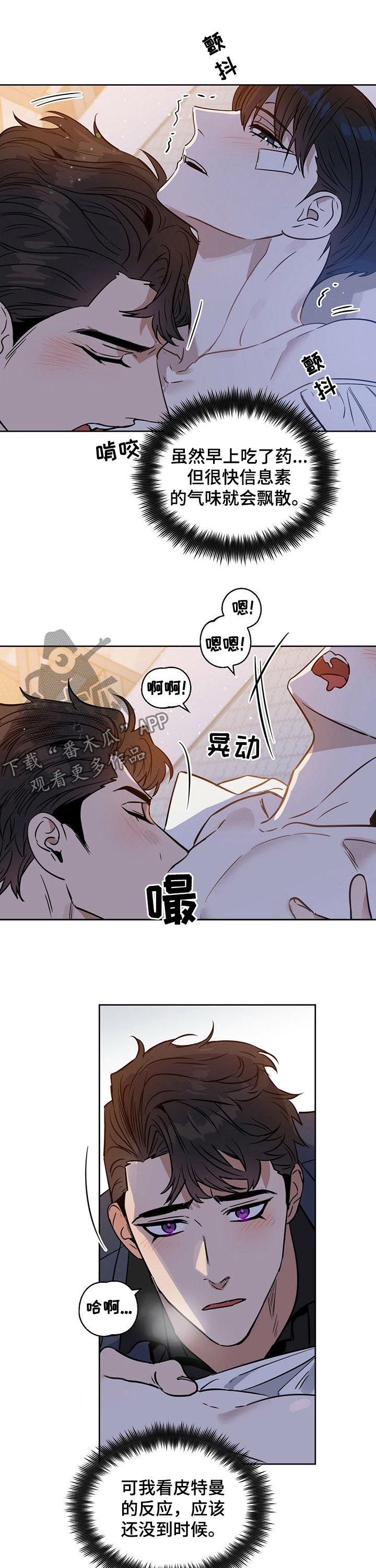 《变异信息素》漫画最新章节第65章：都是我免费下拉式在线观看章节第【5】张图片