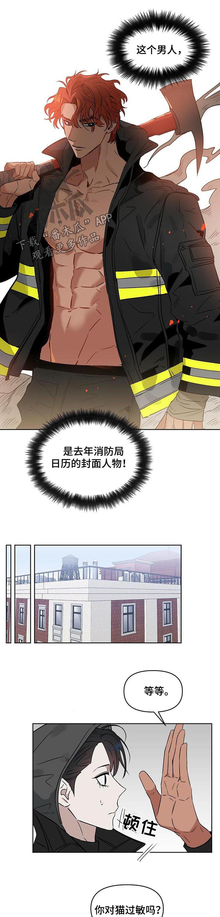 《变异信息素》漫画最新章节第70章：封面人物免费下拉式在线观看章节第【5】张图片