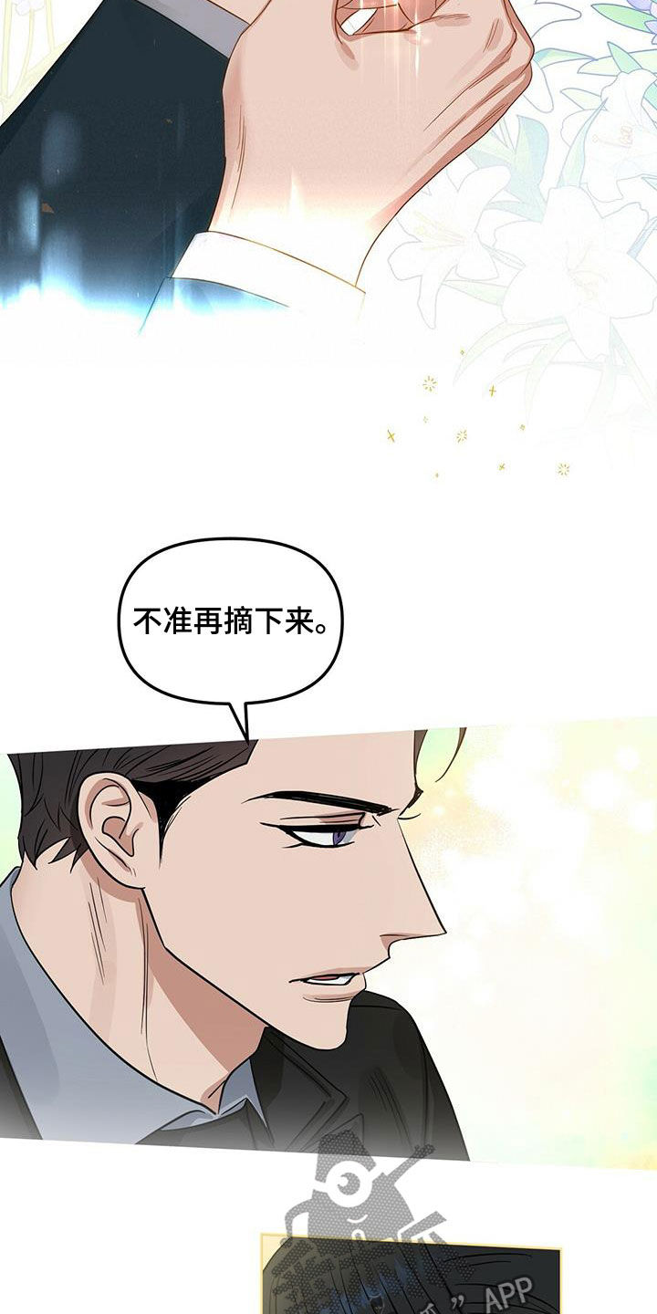 《变异信息素》漫画最新章节第126章：【番外】买戒指免费下拉式在线观看章节第【5】张图片