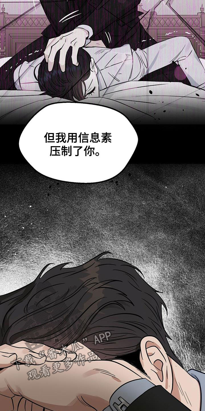 《变异信息素》漫画最新章节第128章：【番外】马球比赛免费下拉式在线观看章节第【17】张图片