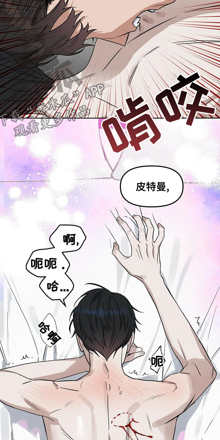 《变异信息素》漫画最新章节第154章：【番外】求你停下免费下拉式在线观看章节第【16】张图片