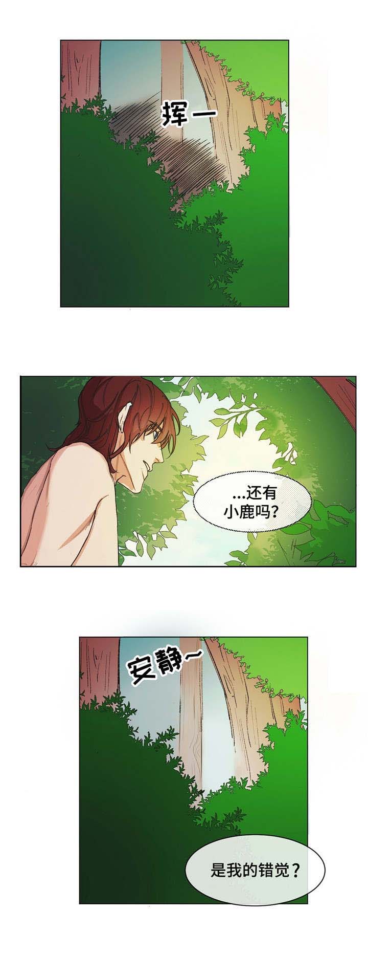 《贵族账簿》漫画最新章节第2章：散步免费下拉式在线观看章节第【5】张图片