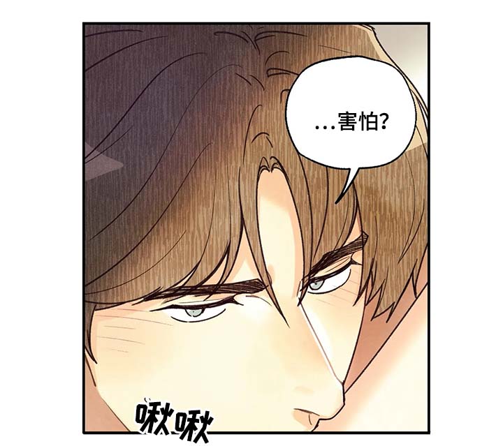 《身体刻印》漫画最新章节第51章：我会温柔对你免费下拉式在线观看章节第【5】张图片