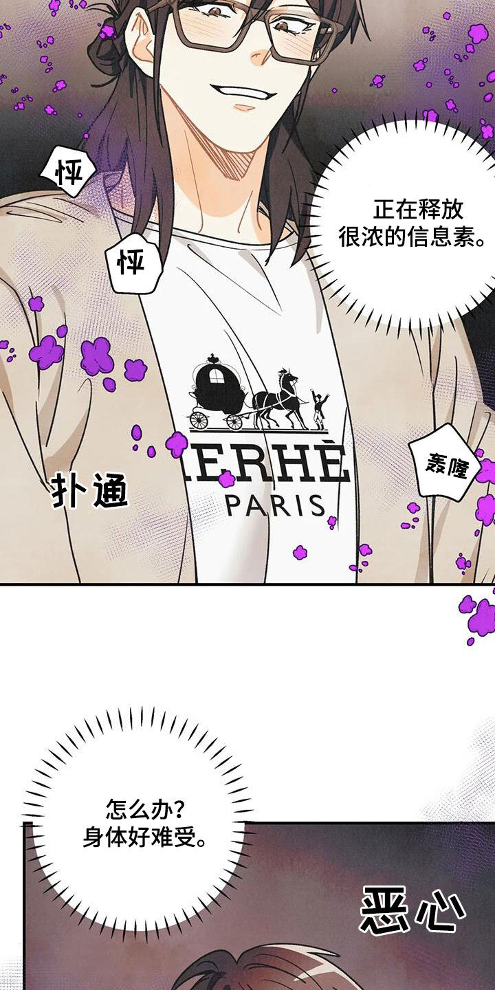 《身体刻印》漫画最新章节第163章：【番外】信息素压制免费下拉式在线观看章节第【5】张图片