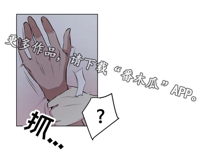 《契合》漫画最新章节第14章：真心话免费下拉式在线观看章节第【3】张图片