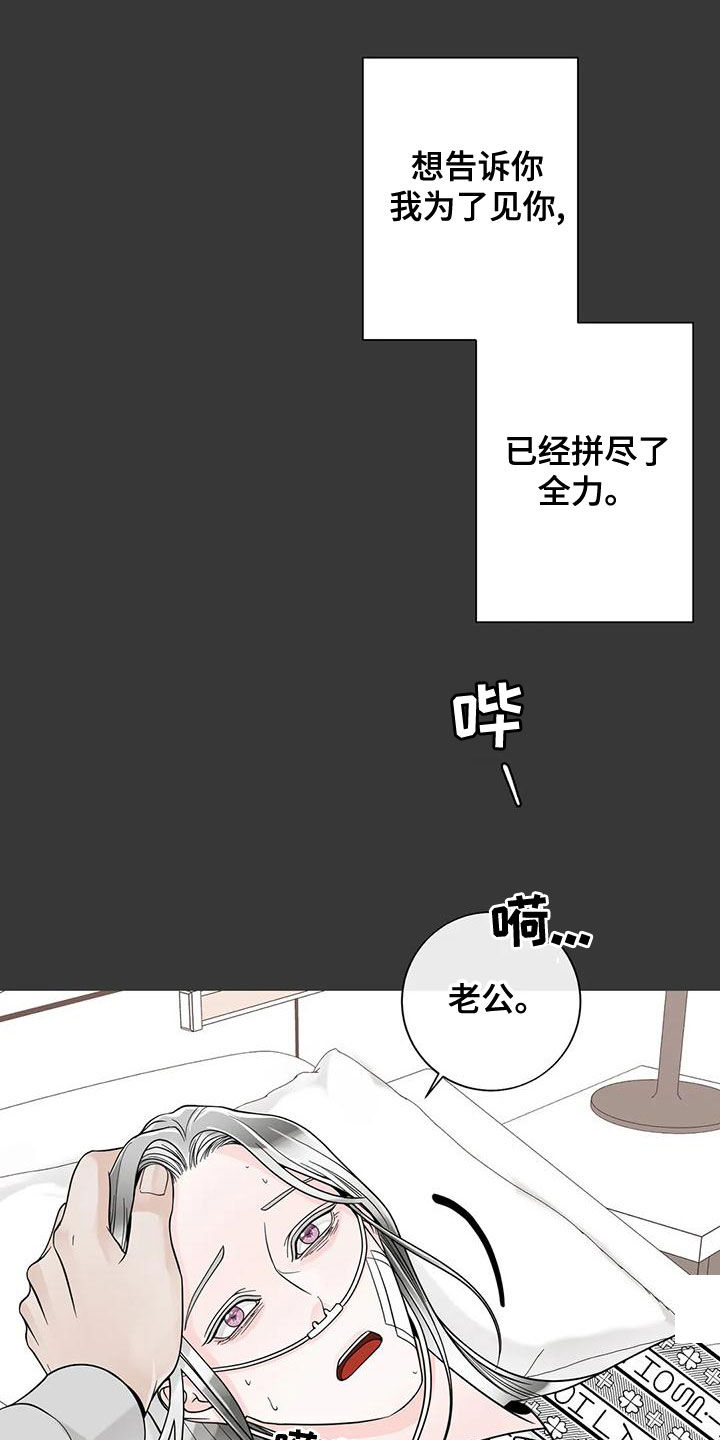 《合约期伙伴》漫画最新章节第140章：【番外】和我结婚吧免费下拉式在线观看章节第【19】张图片