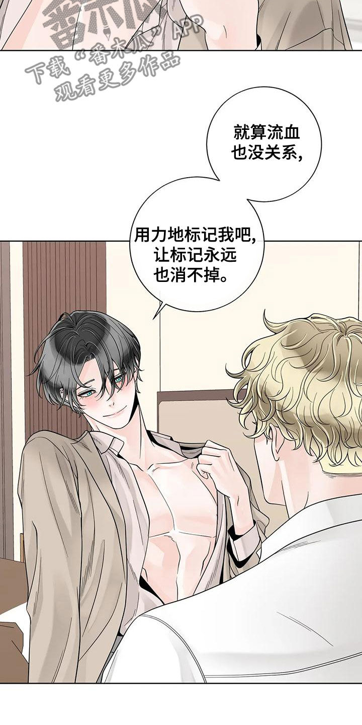 《合约期伙伴》漫画最新章节第140章：【番外】和我结婚吧免费下拉式在线观看章节第【4】张图片