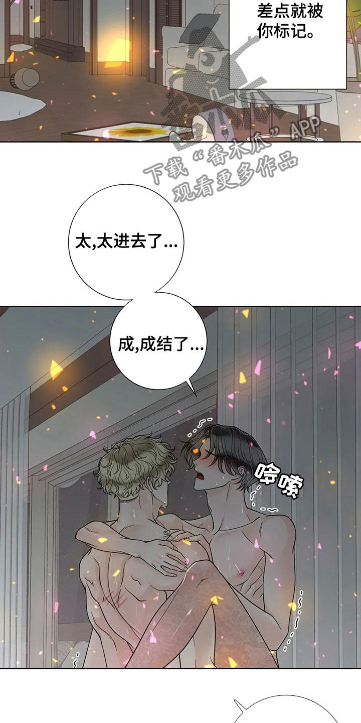 《合约期伙伴》漫画最新章节第144章：【番外】谢谢你免费下拉式在线观看章节第【16】张图片