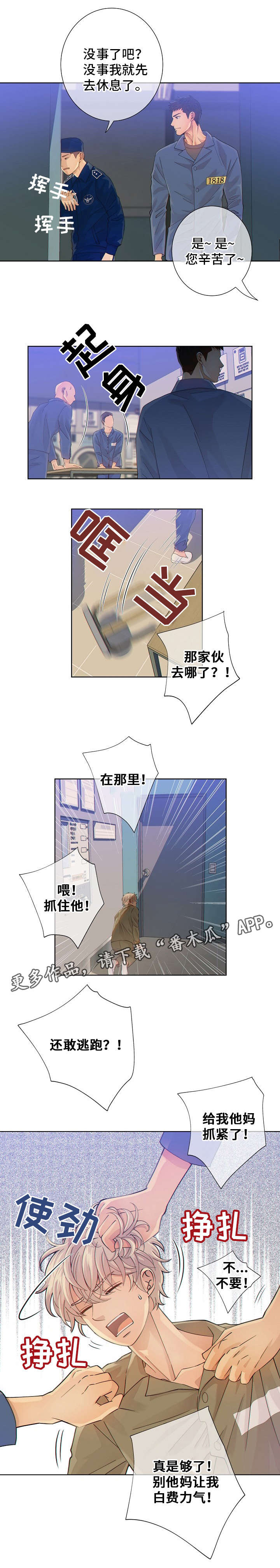 《阿尔法监狱》漫画最新章节第4章：玩具免费下拉式在线观看章节第【3】张图片