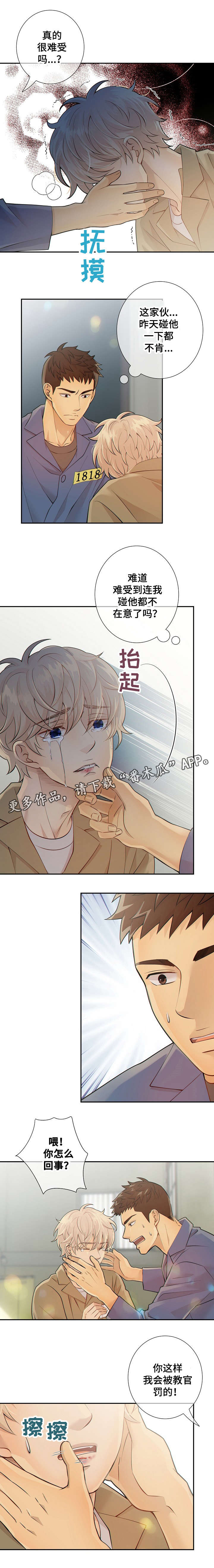 《阿尔法监狱》漫画最新章节第25章：货色免费下拉式在线观看章节第【3】张图片