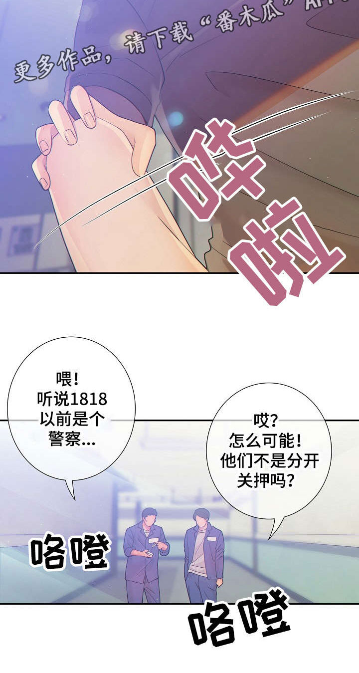 《阿尔法监狱》漫画最新章节第29章：不合常理免费下拉式在线观看章节第【7】张图片