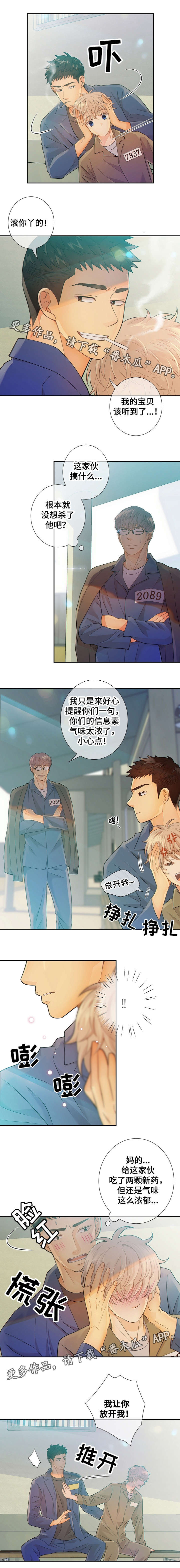 《阿尔法监狱》漫画最新章节第30章：小鸡仔免费下拉式在线观看章节第【3】张图片