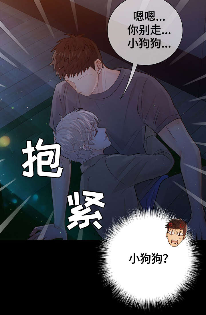 《阿尔法监狱》漫画最新章节第43章：反正都要死免费下拉式在线观看章节第【28】张图片