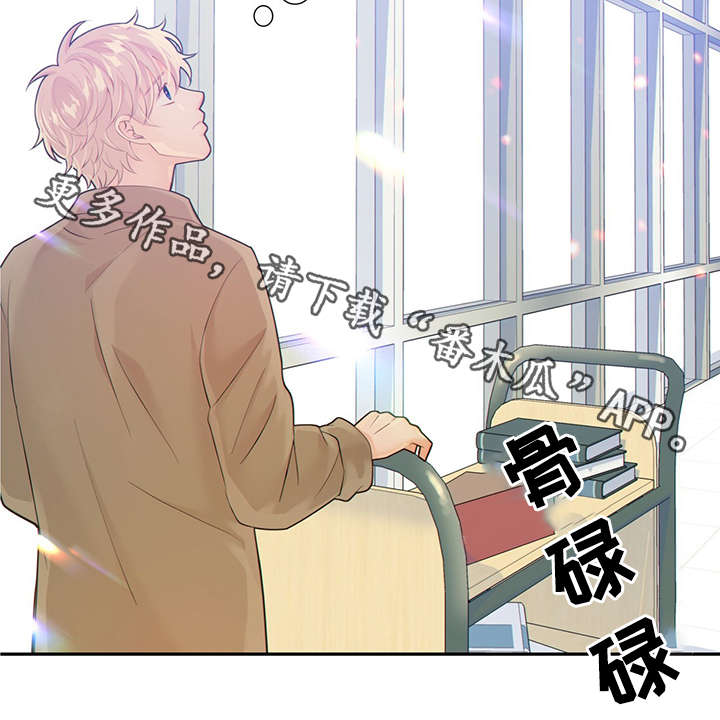 《阿尔法监狱》漫画最新章节第44章：正确的判断免费下拉式在线观看章节第【41】张图片