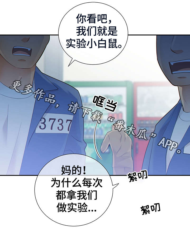 《阿尔法监狱》漫画最新章节第45章：犯了什么罪免费下拉式在线观看章节第【34】张图片