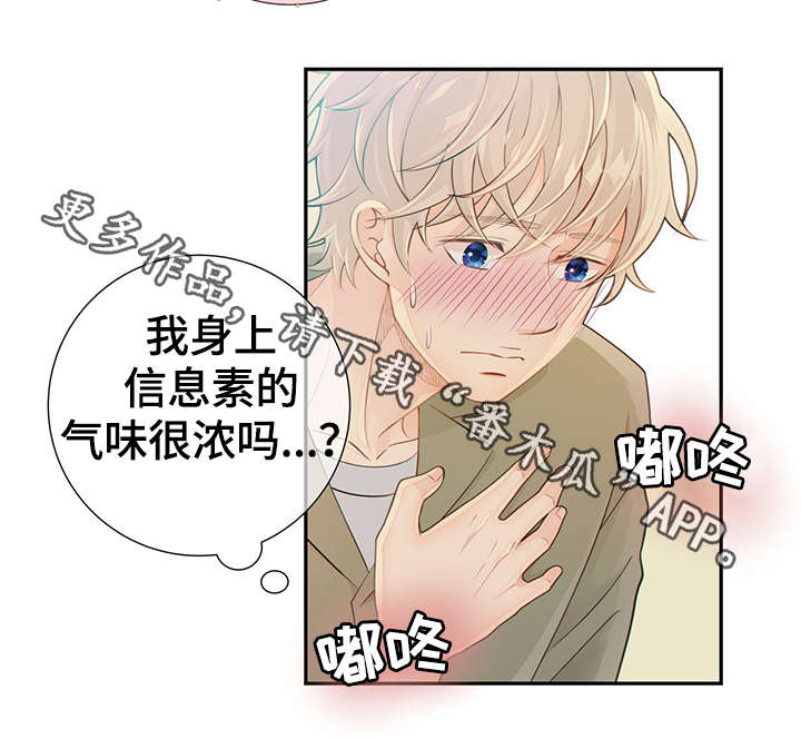 《阿尔法监狱》漫画最新章节第46章：突击检查免费下拉式在线观看章节第【38】张图片