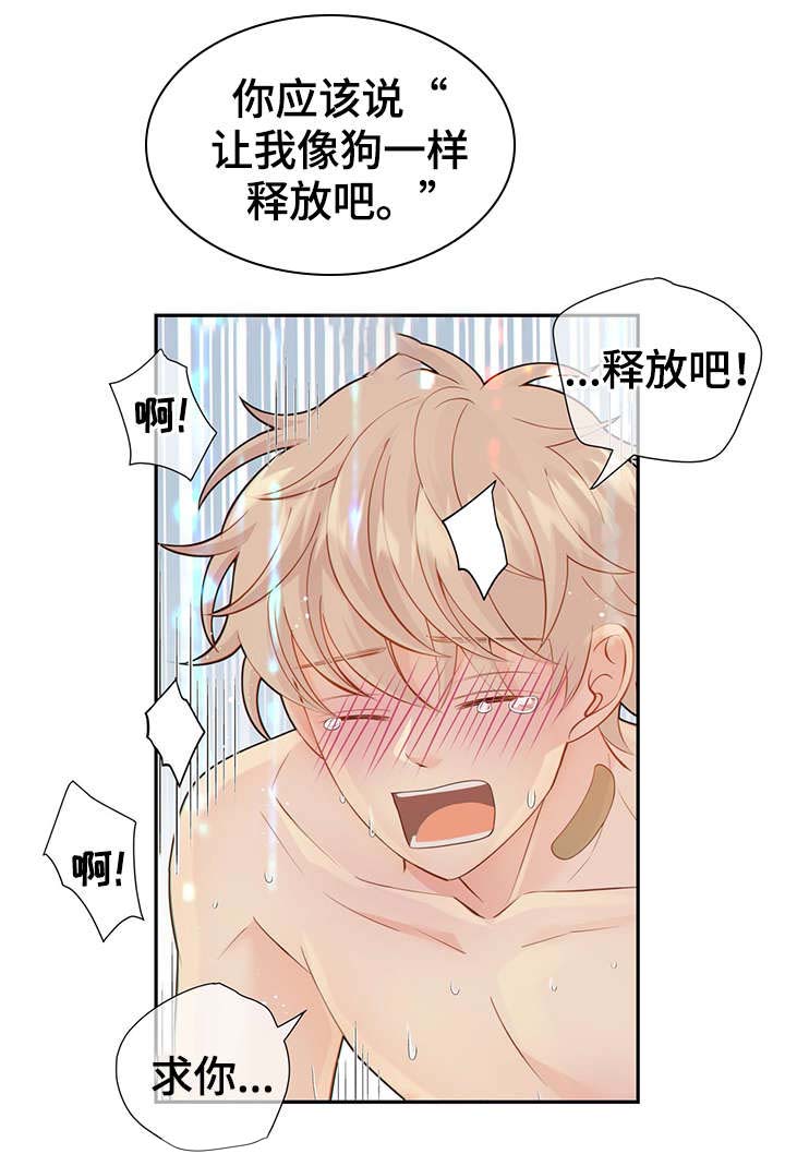 《阿尔法监狱》漫画最新章节第48章：求你免费下拉式在线观看章节第【3】张图片