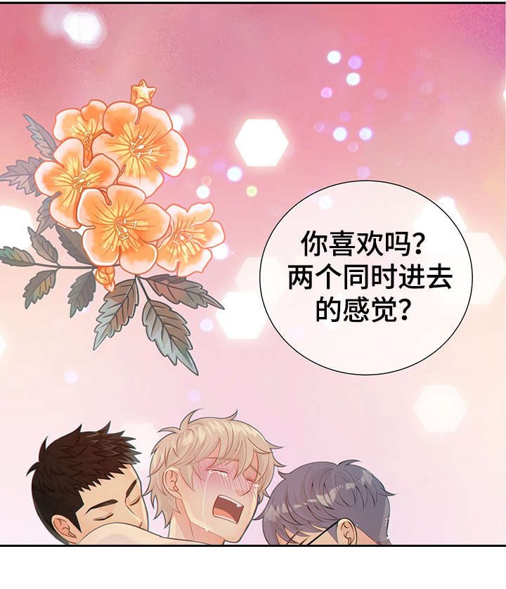 《阿尔法监狱》漫画最新章节第48章：求你免费下拉式在线观看章节第【18】张图片