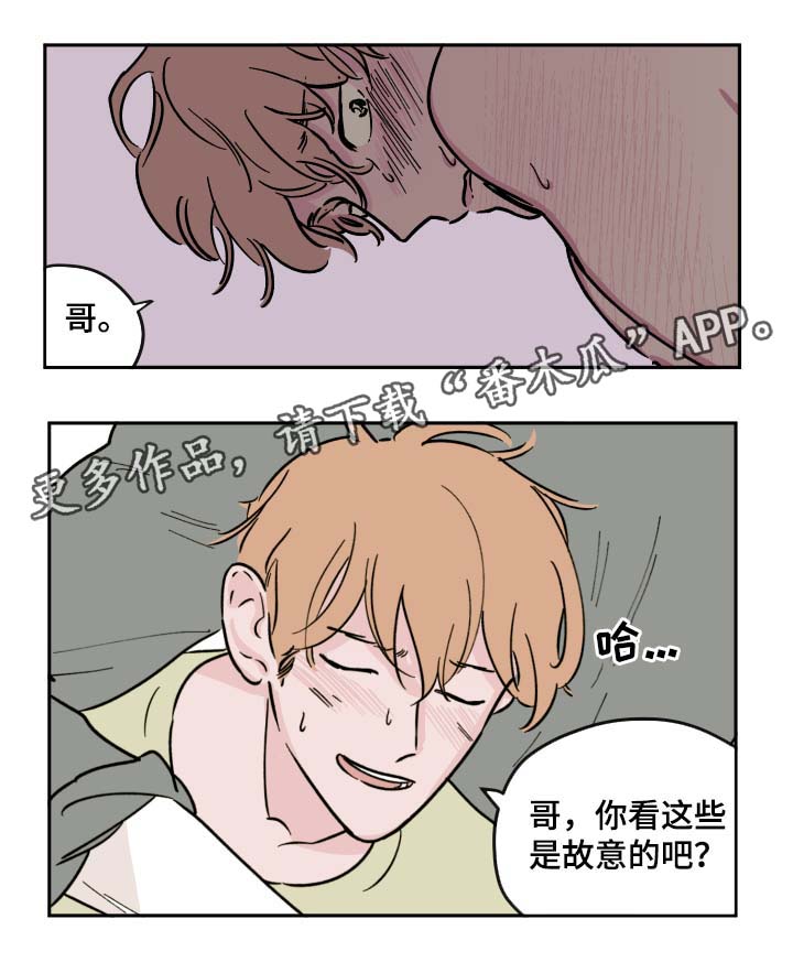 《阴谋与争斗》漫画最新章节第32章：全部都要免费下拉式在线观看章节第【3】张图片