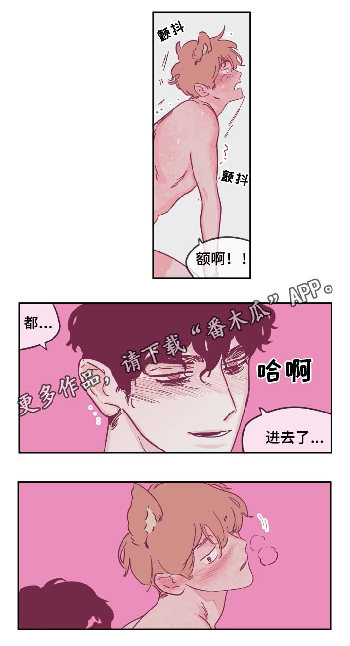 《阴谋与争斗》漫画最新章节第34章：喜欢吗免费下拉式在线观看章节第【9】张图片