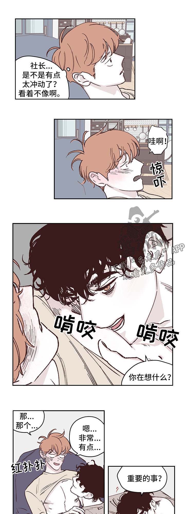 《阴谋与争斗》漫画最新章节第42章：全网黑免费下拉式在线观看章节第【5】张图片