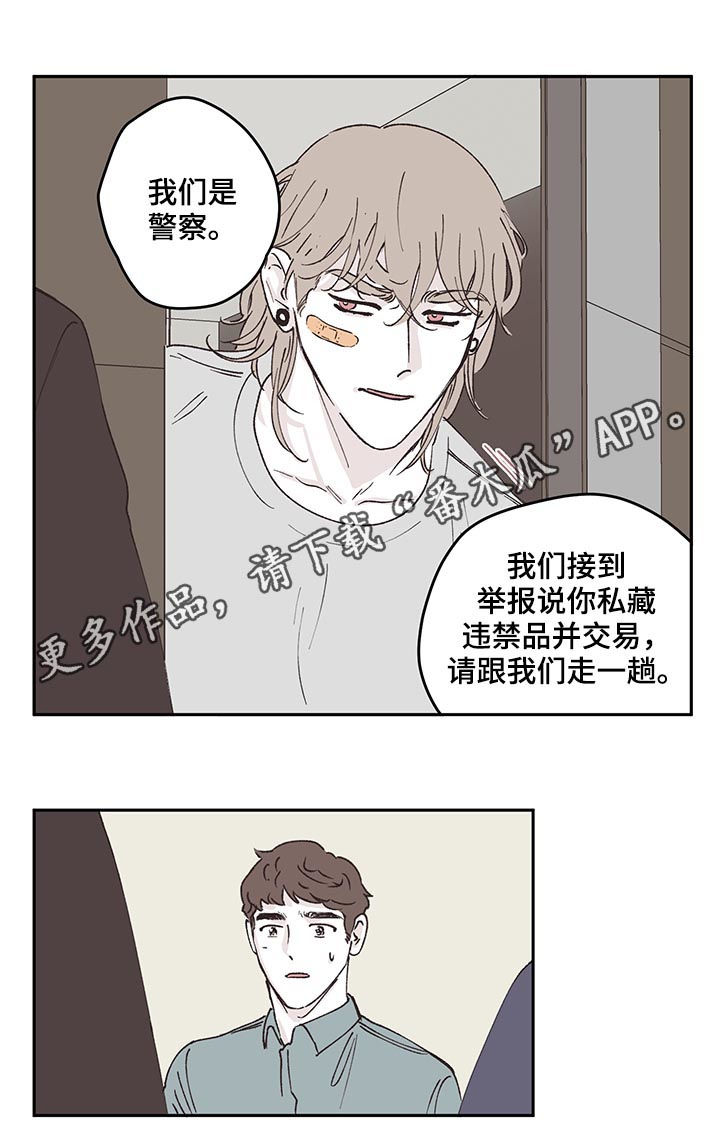 《阴谋与争斗》漫画最新章节第51章：逮捕免费下拉式在线观看章节第【12】张图片