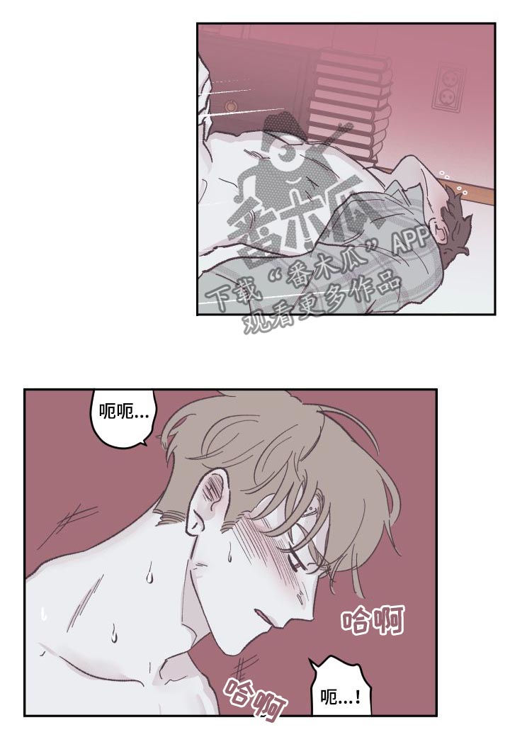 《阴谋与争斗》漫画最新章节第80章：太可惜了免费下拉式在线观看章节第【12】张图片