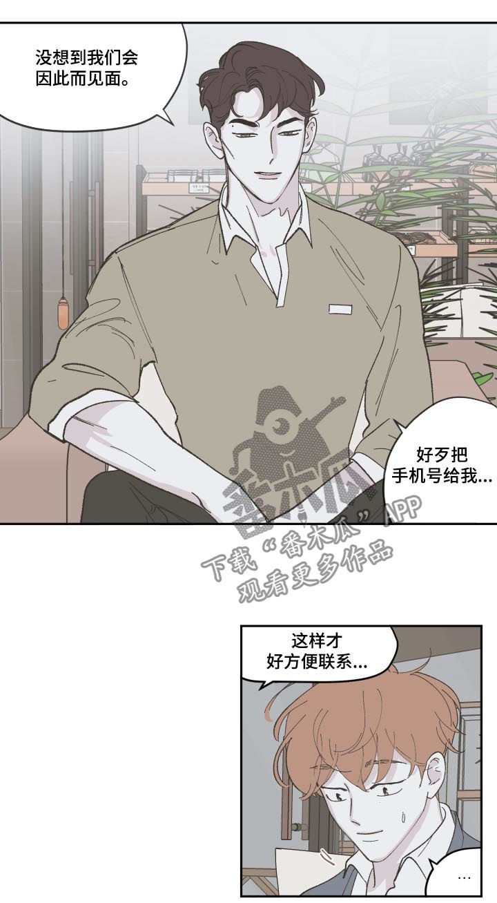 《阴谋与争斗》漫画最新章节第85章：【第三季】离婚了免费下拉式在线观看章节第【4】张图片