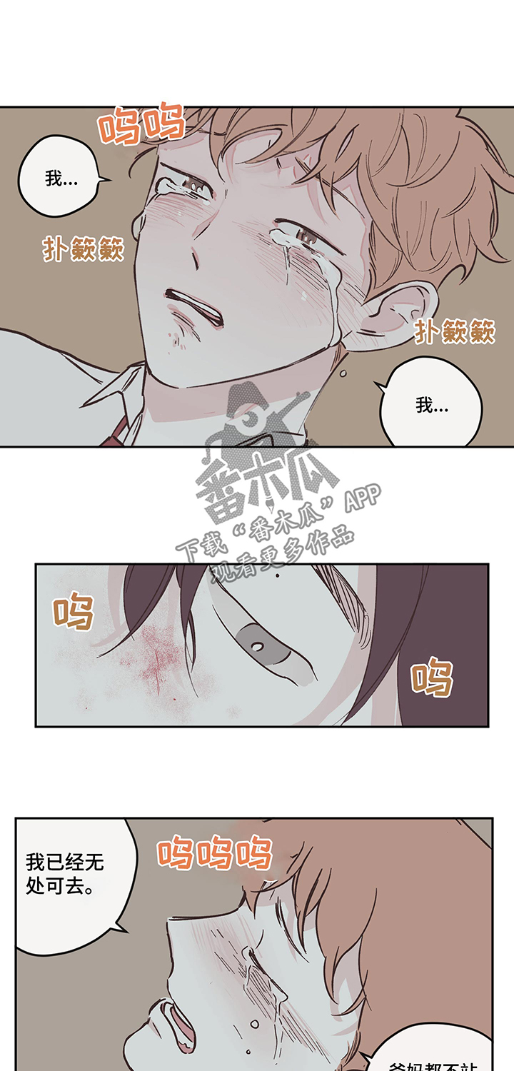 《阴谋与争斗》漫画最新章节第97章：【第三季】表白免费下拉式在线观看章节第【2】张图片