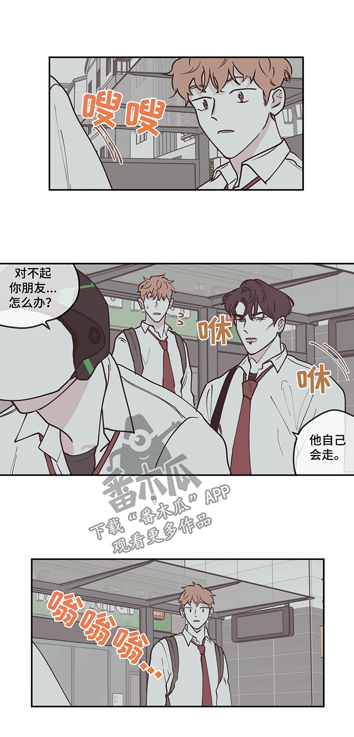 《阴谋与争斗》漫画最新章节第98章：【第三季】留学免费下拉式在线观看章节第【4】张图片