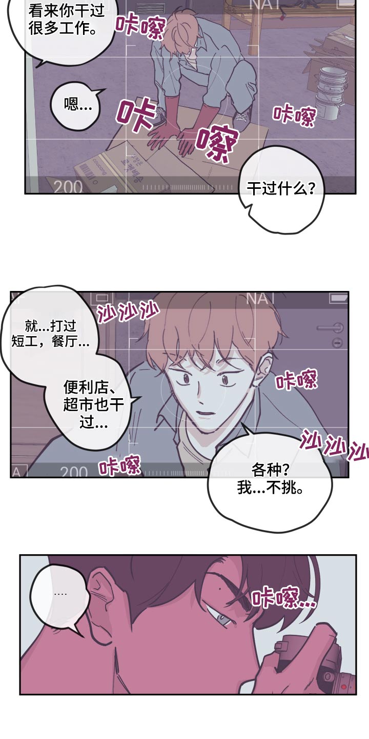 《阴谋与争斗》漫画最新章节第139章：【第三季】整理免费下拉式在线观看章节第【11】张图片