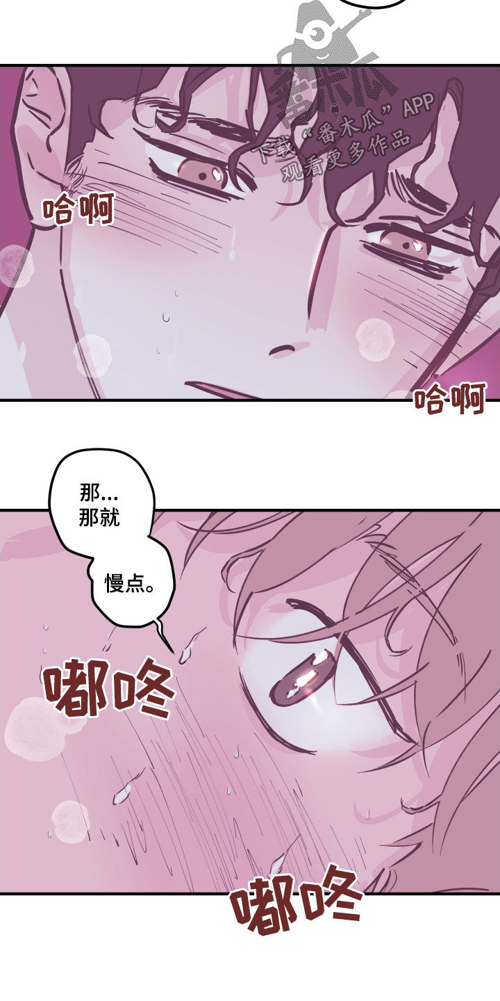 《阴谋与争斗》漫画最新章节第164章：【番外】理解免费下拉式在线观看章节第【4】张图片