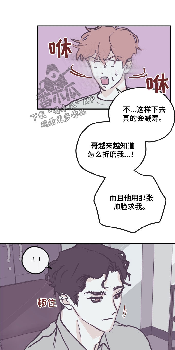 《阴谋与争斗》漫画最新章节第165章：【番外】禁止免费下拉式在线观看章节第【9】张图片