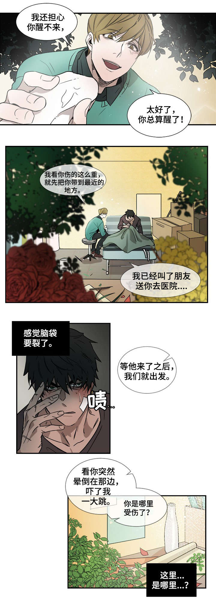 《权位守护》漫画最新章节第2章：重伤免费下拉式在线观看章节第【10】张图片