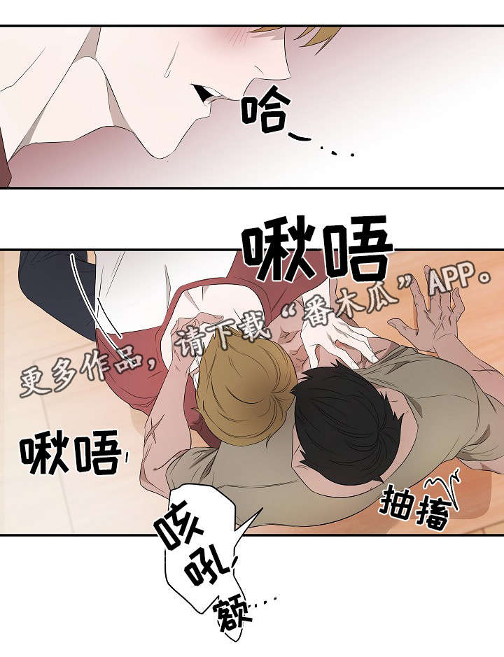 《权位守护》漫画最新章节第14章：藏身之处免费下拉式在线观看章节第【6】张图片