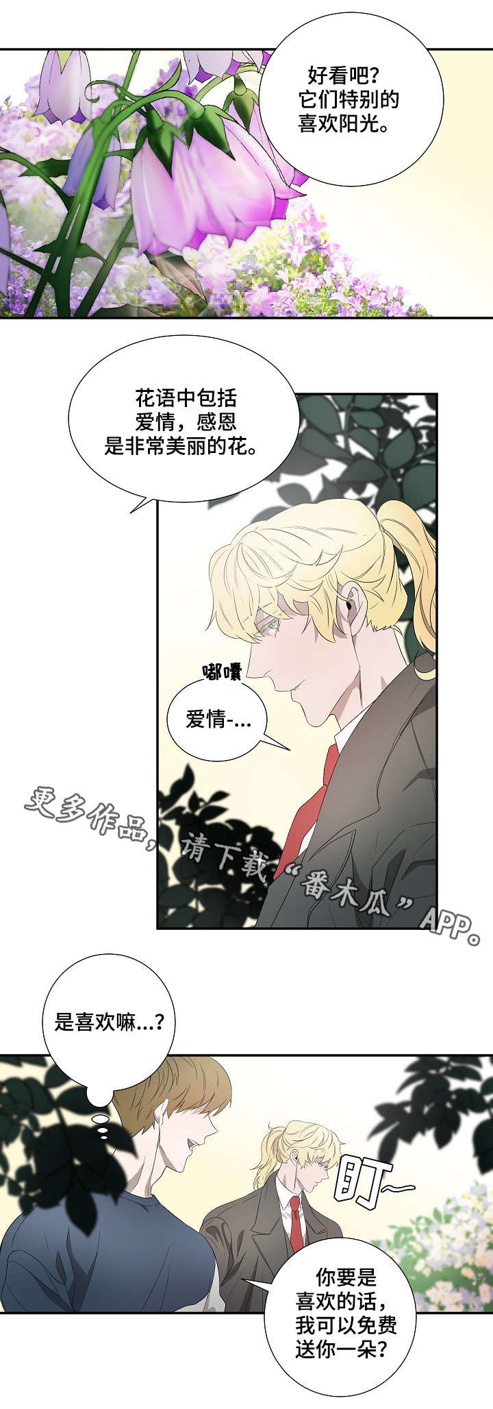 《权位守护》漫画最新章节第18章：太阳花免费下拉式在线观看章节第【6】张图片