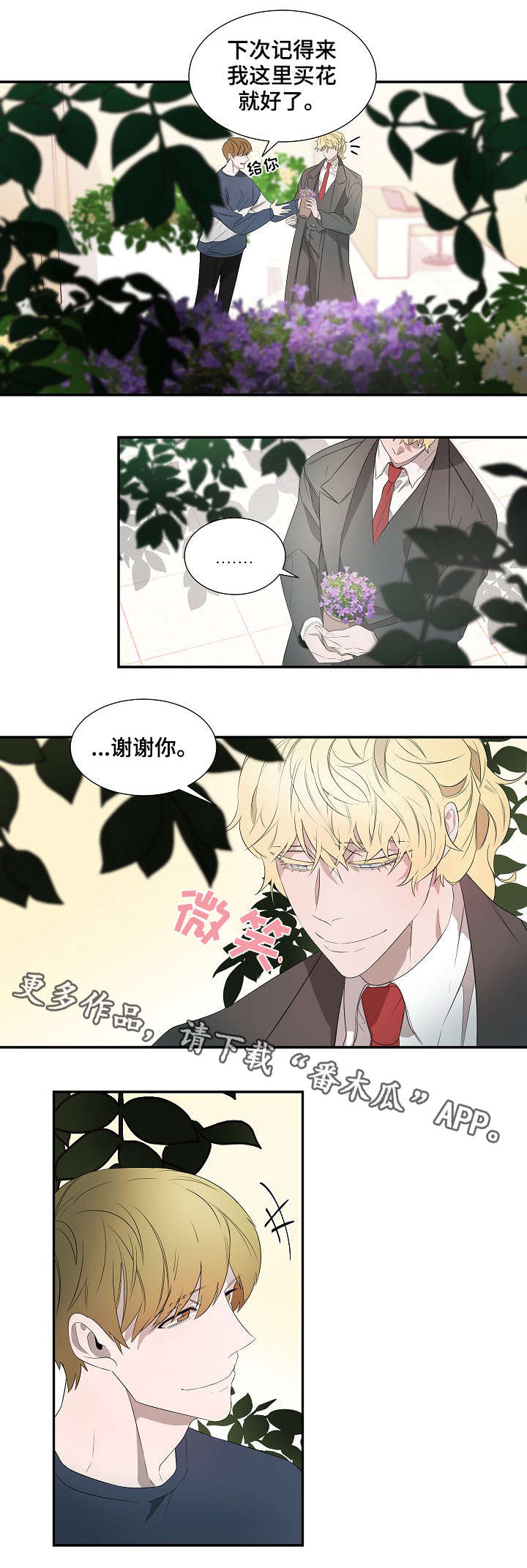 《权位守护》漫画最新章节第18章：太阳花免费下拉式在线观看章节第【4】张图片