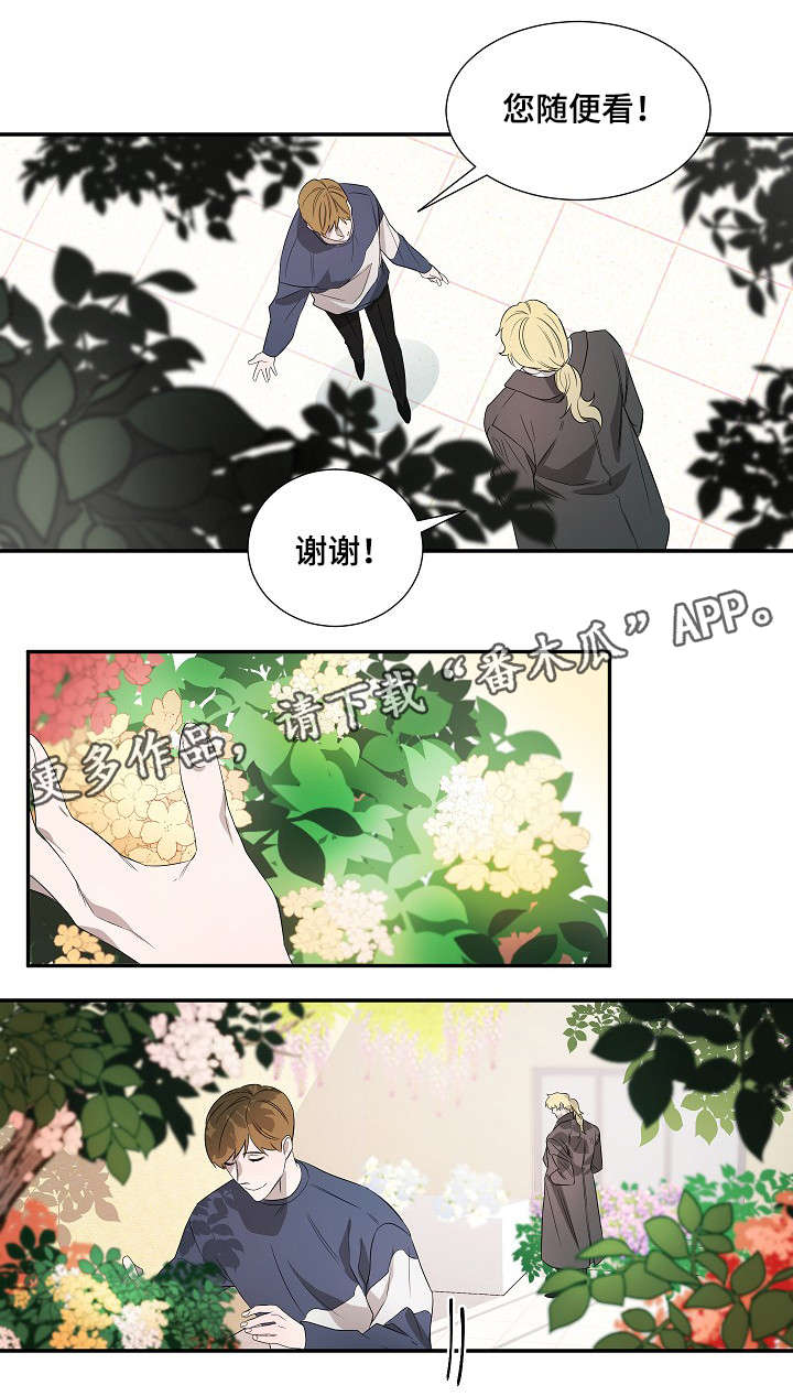 《权位守护》漫画最新章节第18章：太阳花免费下拉式在线观看章节第【10】张图片