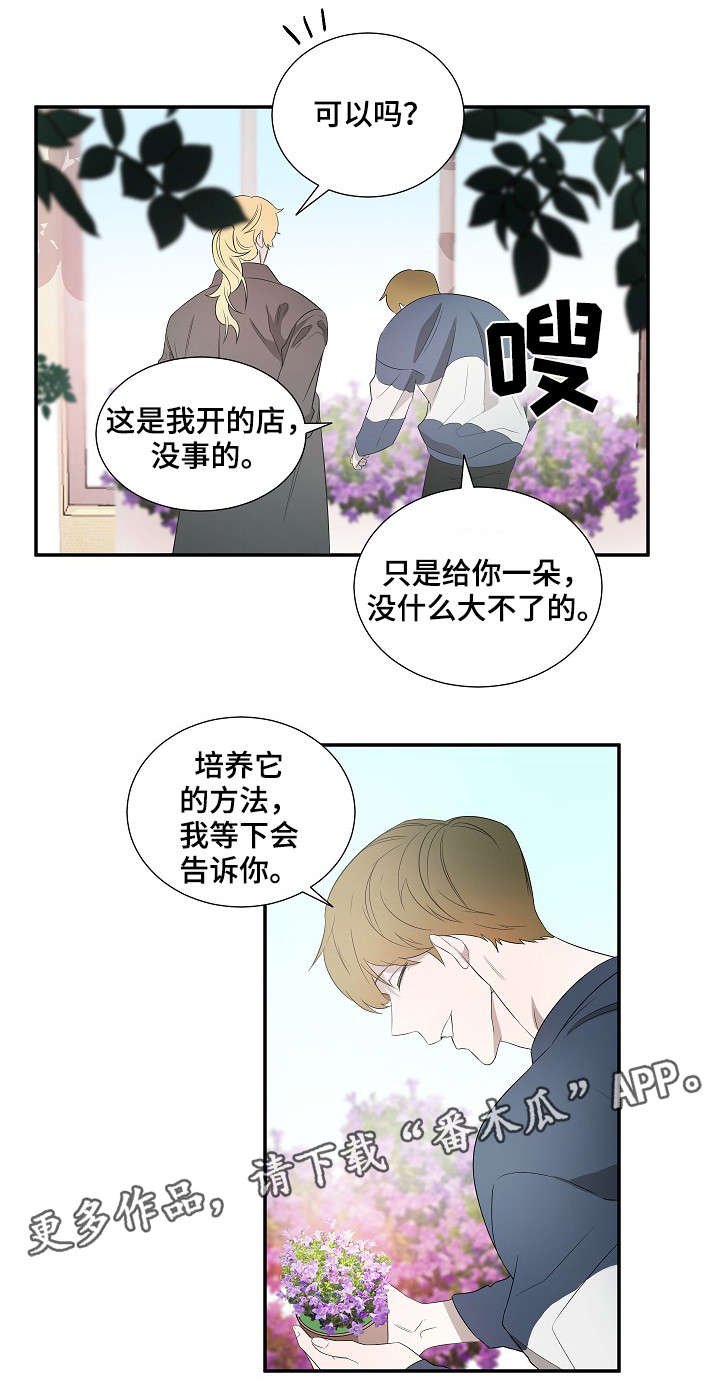 《权位守护》漫画最新章节第18章：太阳花免费下拉式在线观看章节第【5】张图片