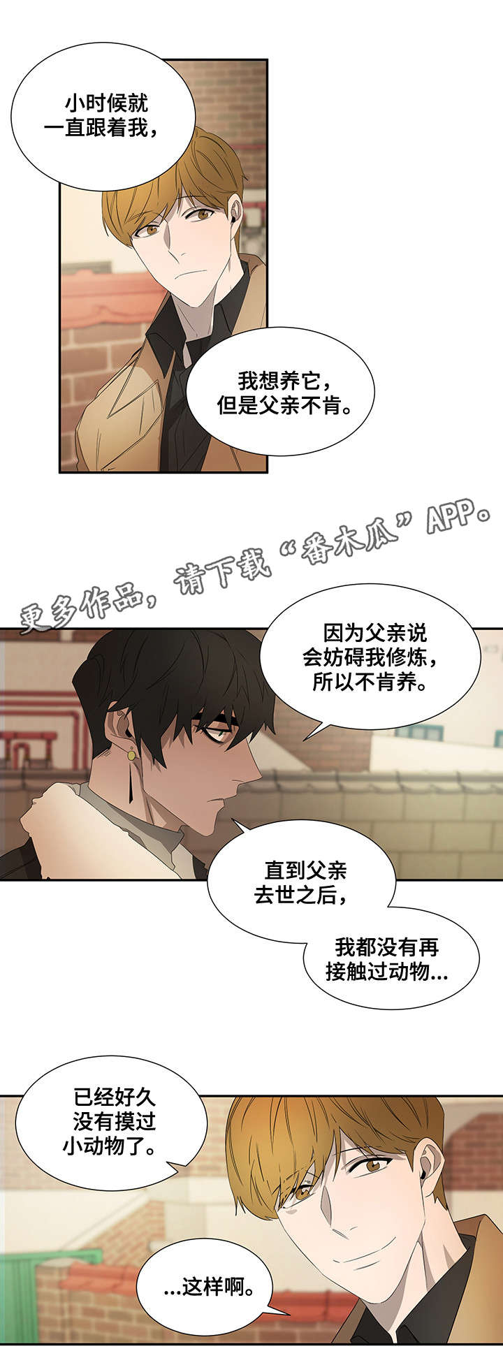 《权位守护》漫画最新章节第21章：好奇心免费下拉式在线观看章节第【3】张图片