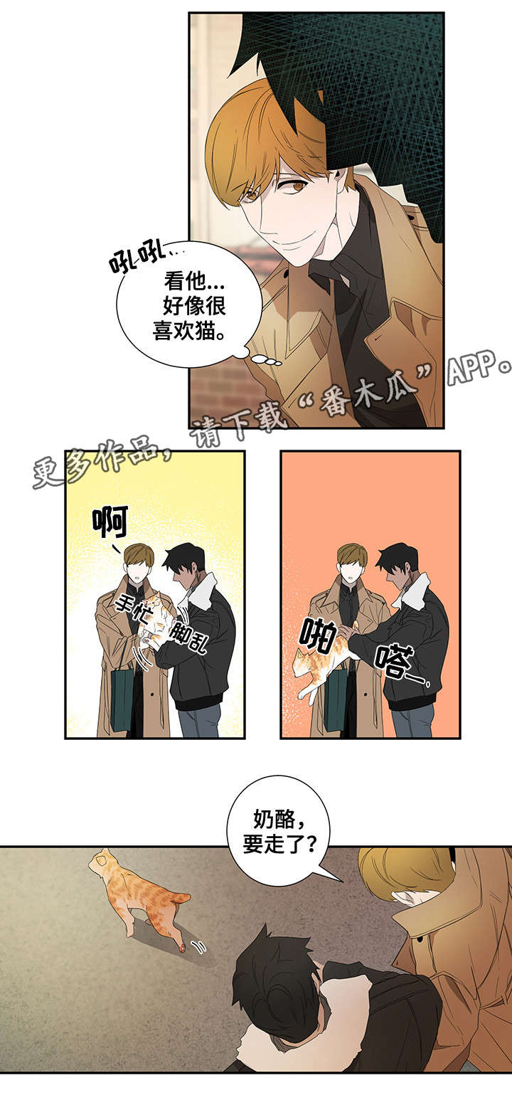 《权位守护》漫画最新章节第21章：好奇心免费下拉式在线观看章节第【5】张图片